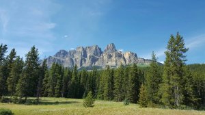 wp-image--1034989597