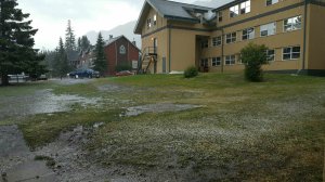 wp-image--2013686141